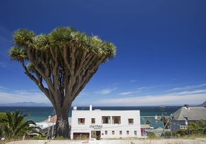 Chartfield Guesthouse