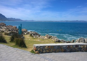 Come an enjoy Cape Towns best kept secret. Kleinmond, 2 hours from the city.