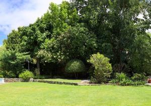 Comfortable 2-Bedroom-Apartment in Upper Constantia