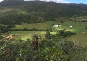 Farm Stays, Here you will be able to relax and enjoy the beauty of nature