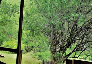 Fountain Baths Guest Cottages (unit 7)