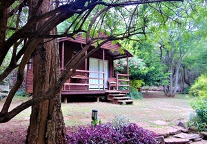 Fountain Baths Guest Cottages (unit 8)