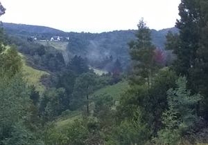 Green Hills Forest Lodge, The Crags, Plettenberg Bay, South Africa - UNIT 1