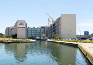 Harbour Bridge Apartments
