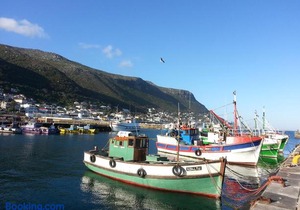Harbour Views