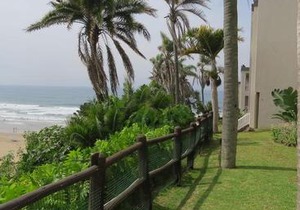 Laguna 75