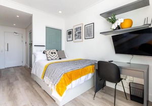 One On Albert -Vibrant Woodstock Apartment with Private Patio Area