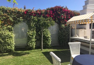 Our Hermanus B&B