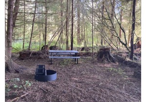 Primitive Tent Site #6- Beautiful Forested Property in Forks