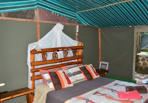Pure wilderness in Amanzimlotzi Riverside Bush Tent in Limpopo, Kruger Park