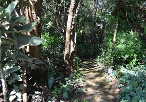 Pure wilderness in Amanzimlotzi Riverside Bush Tent in Limpopo, Kruger Park