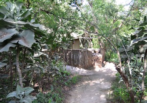 Pure wilderness in Amanzimlotzi Riverside Bush Tent in Limpopo, Kruger Park