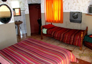 Pure wilderness in Amanzimlotzi Riverside Bush Camp in Limpopo, Kruger Park