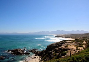 Sea Star Cliff