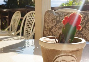 Shelly Beach Lodge