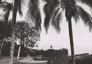 Sherwood's Country House