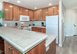 Shorebirds 121 - Full Ocean View Condo - Sleeps 2, Second Floor Condo
