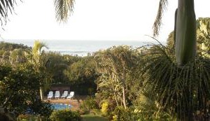 Thatch by the Sea