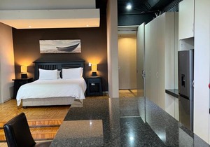 The Franklin luxury apartments 904