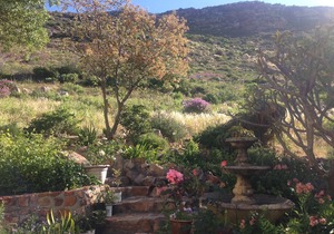 Tranquility Guest House