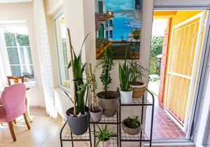 Villa with Garden Surrounded by Nature in Sapanca