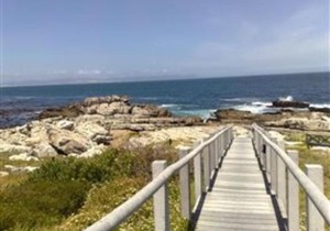 Whale Rock 54