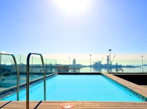 Harbour Bridge | Foreshore