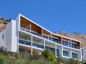 Protea | Mountainside
