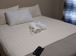 Aquila | Pretoria