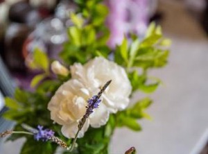 Avenue Gooseberry | Linden