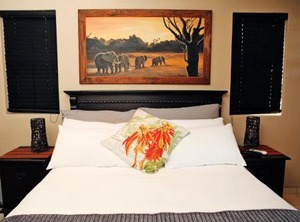 Aloes | Kingsburgh