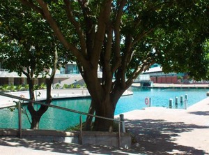 Canal Quays | Victoria and Alfred Waterfront
