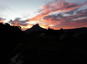 Disa Park City | Cape Town City Centre