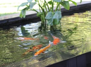 Ecolux Boutique Hotel | Komatipoort