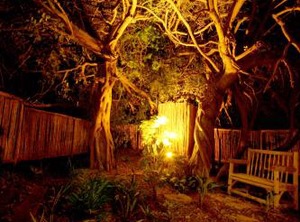 Emdoneni Lodge | Hluhluwe