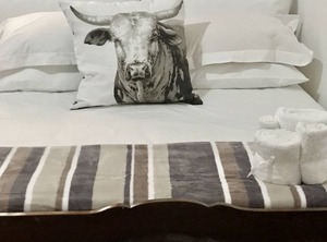 Farm Stays Relax Enjoy The Beauty Of Nature | Addo