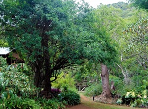 Fountain Cottages | Umjindi
