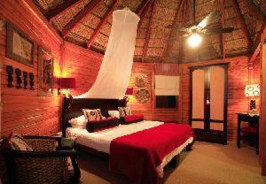 Garden Route Lodge | Albertinia
