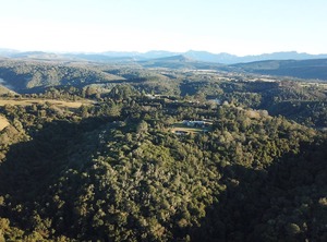 Green Hills Forest Lodge The Crags Plettenberg Bay South Africa | Bitou