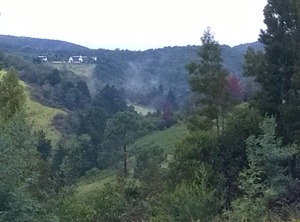 Green Hills Forest Lodge The Crags Plettenberg Bay South Africa | Bitou