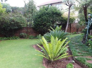 Green Scape | Constantia Park