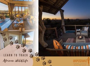 Impodimo Lodge | Madikwe Game Reserve