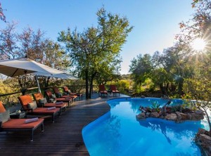 Impodimo Lodge | Madikwe Game Reserve