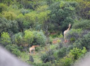 Khululeka Farm | Kgetlengrivier