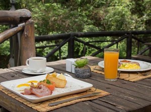 Kruger Adventure Lodge | Hazyview