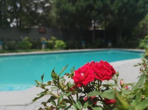 Lamon Guesthouse | Kroonstad