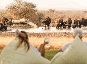 The Bush | Madikwe Game Reserve