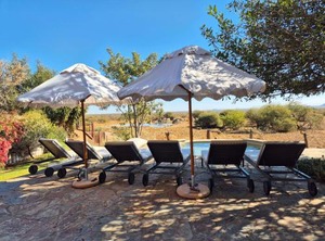 The Bush | Madikwe Game Reserve