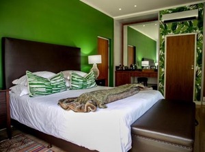 Selkirk | Hermanus Heights