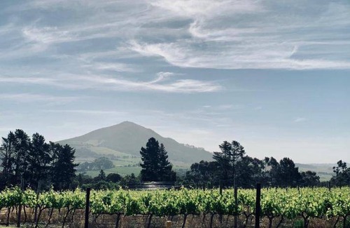Cape Winelands Bed & Breakfast | 100 m² Bed and breakfast ∙ 2 bedrooms ∙ 127 guests